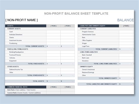 Nonprofit Balance Sheet Template
