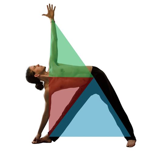 Trikonasana Triangles 1604×1700 Teaching Yoga Yoga Training
