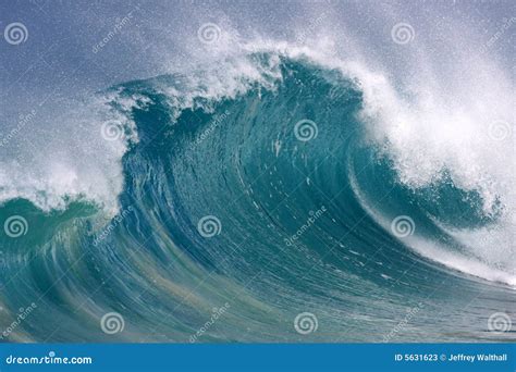 Curling Wave Royalty Free Stock Photography 5631623