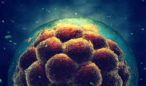 Microscopy To Measure The Potency Of Stem Cells Asian Scientist Magazine