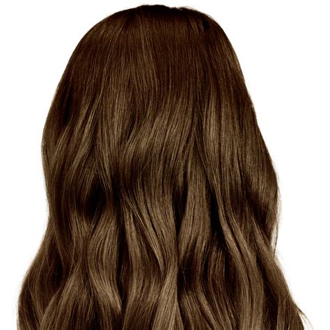 Sondrio Brown 65nna Soft Medium Neutral Brown Hair Color For