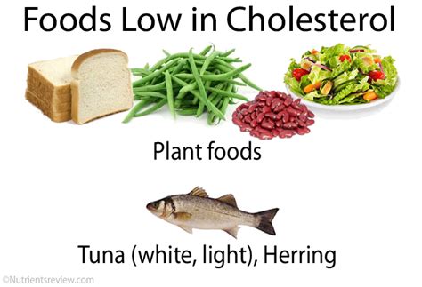 Trans fats raise your bad (ldl) cholesterol levels and lower your good (hdl) cholesterol levels. Cholesterol Functions, Foods High/Low, Charts: LDL, HDL, Total
