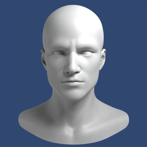 Male Head 3d Model