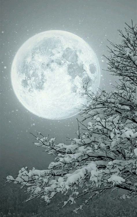 Pin By Cinzia Mangano On Moon Luna Beautiful Moon Beautiful Nature