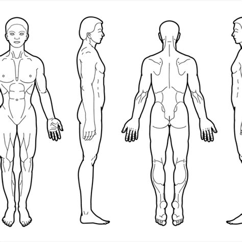 Body Diagram For Professional Massage Chart Front Back Left And Right Views Icon Oder