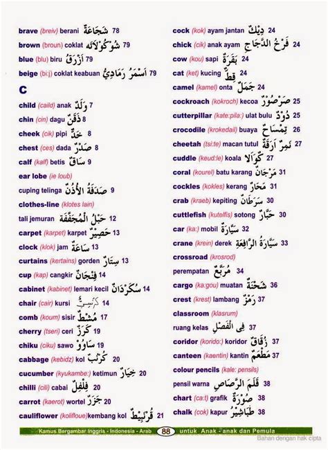 Kamus besar bahasa arab lengkap. Istilah-istilah bahasa Arab yang sering digunakan dalam ...