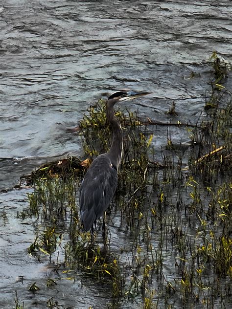 exploreVenango on Twitter: "Venango County Photo of the Day: Captured