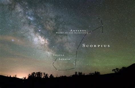 Созвездие Скорпиона На Небе Фото Telegraph