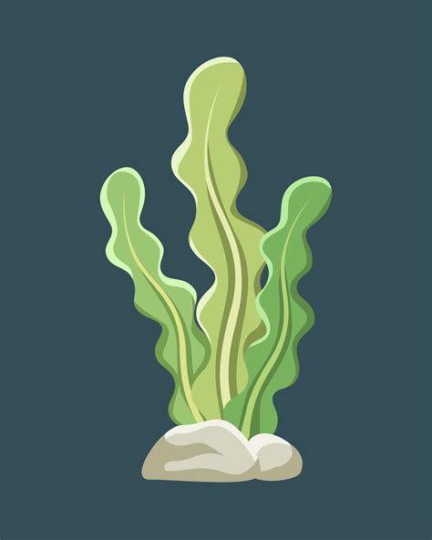 Underwater Seaweed Vector Illustration Clipart 16137781 Vector Art At