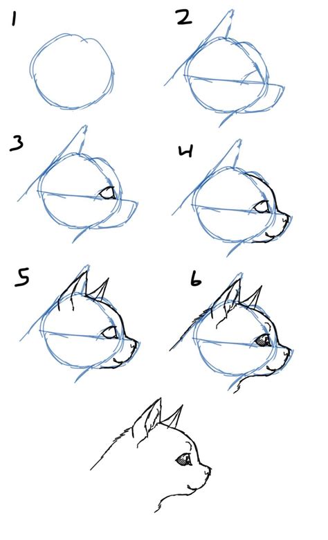 How To Draw Cat Facesheads Side View Cat Face Drawing Cat Drawing