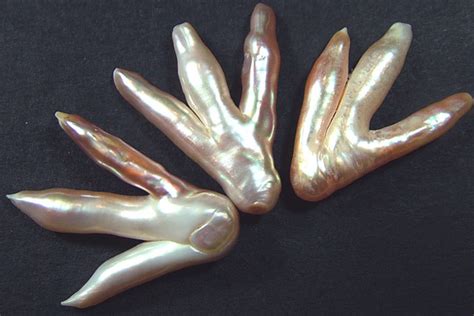 Chicken Feet Keshi Pearls High Luster 40cts Pf375