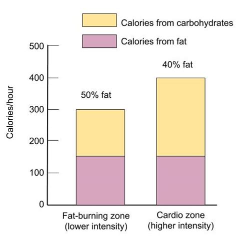 Carbohydrates are the primary source of energy for all body functions and muscular exertion. The Role Of Carbohydrate, Fat And Protein As Fuels For ...