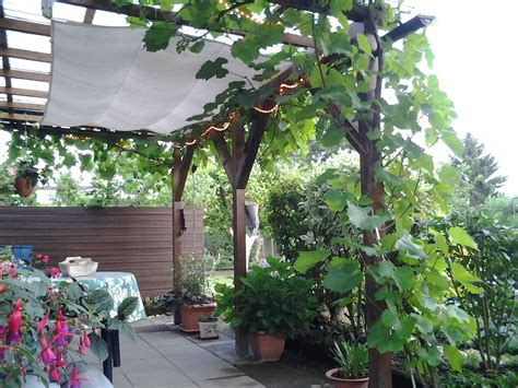 Weitere ideen zu garten terrasse, gartengestaltung, garten. Pin auf Wein im Garten