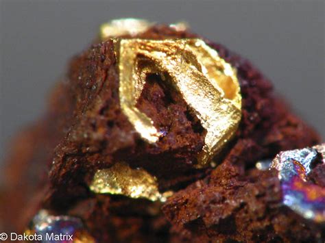 Gold Mineral Specimen For Sale