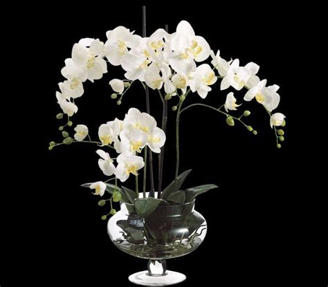 Silk White Phalaenopsis Orchid Artificial Phalaenopsis Orchid Artificial Flower Arrangements