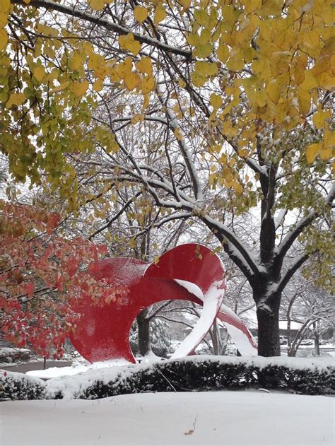 Naperville First Snow 2016 Naperville Naperville Illinois Great Places
