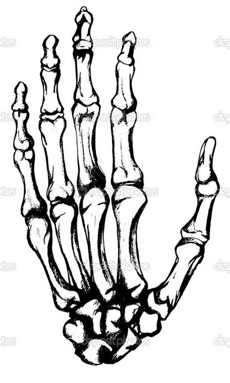 Ескиз тату на пальцях Skeleton Hand Tattoo Skeleton Drawings How To