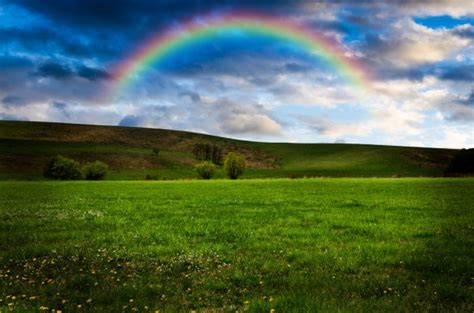 Rainbow Over The Flowers — Stock Photo © Kotenko 22808774