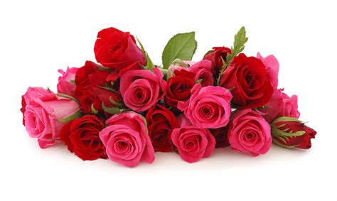 Buongiorno sfondi di fiori fiori colorati 4k ottieni il download gratuito di migliaia di sfondi floreali hd più popolari! Immagini Belle di Fiori - 47 Foto | Sfondi HD | Bonkaday.com