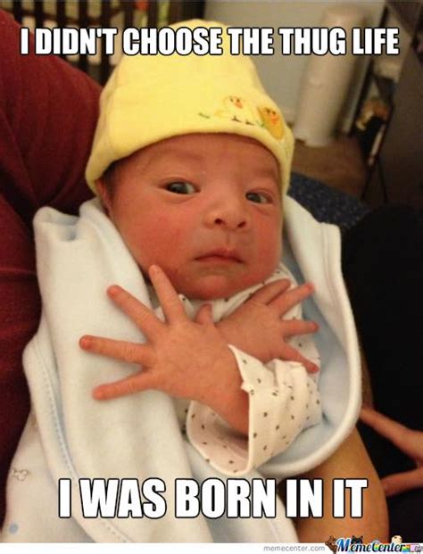 21 Newborn Baby Memes Factory Memes