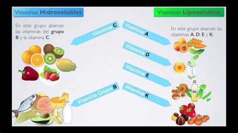 Vitaminas Hidrosolubles Y Liposolubles Videográfica Youtube