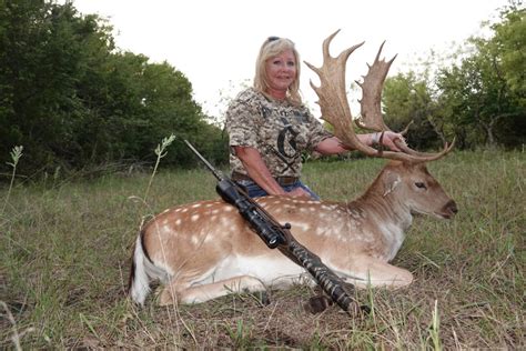 Fallow Deer Hunt In Texas Fallow Deer Hunting Packages Cotton Mesa
