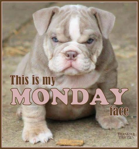This Is My Monday Face Pictures Photos And Images For Facebook