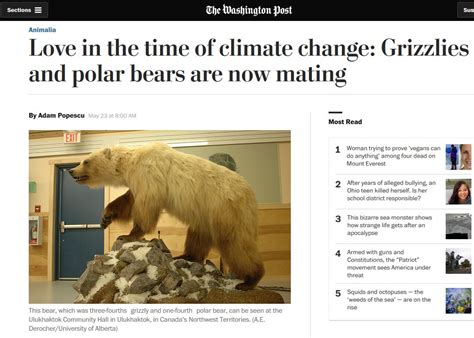 Five Facts That Challenge Polar Bear Hybridization Nonsense