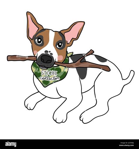 Jack Russell Terrier Perro Madera Palo Colector Dibujos Animados Vector