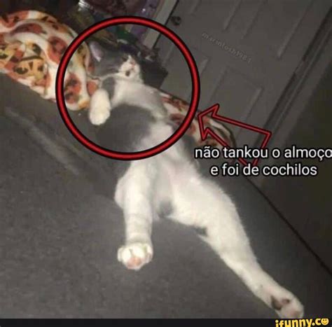 Tankou Memes Best Collection Of Funny Tankou Pictures On Ifunny Brazil
