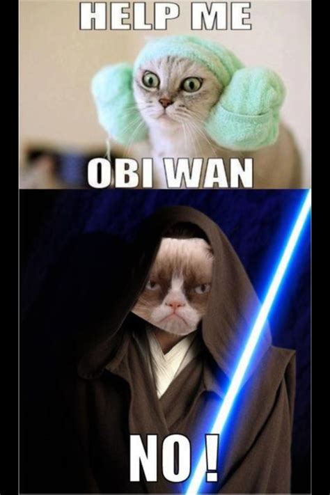 Star Wars Grumpy Cat Grumpy Cat Quotes Funny Grumpy Cat Memes Funny