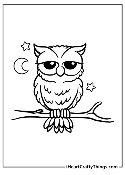 25 Wise Owl Coloring Pages