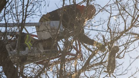 Firefighters Still Respond When Cats Are Stuck In A Tree