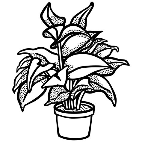 Plant Plankton Drawing Sketch Coloring Page