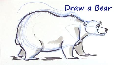 Draw two ovals for the head and body of the black bear. How to Draw a Cartoon Bear - You Can Do It! - YouTube