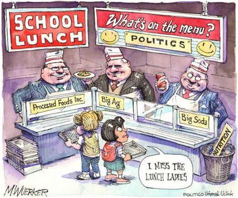Satire Essay About School Lunches