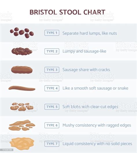 Bristol Stool Chart For Faeces Type Classification Flat Vector