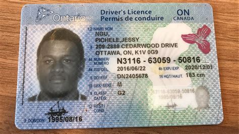 Buy Ontario Drivers Licence Buy Genuine Documents Online