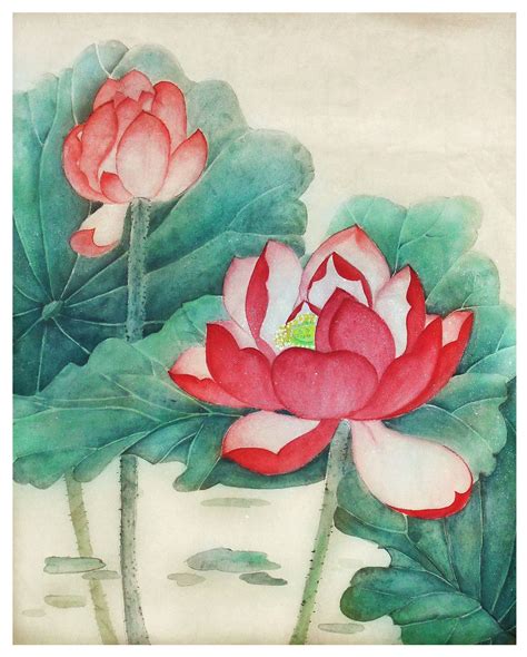 Chinese Lotus Painting Kỹ Thuật Màu Nước Mỹ Thuật Hoa Sen