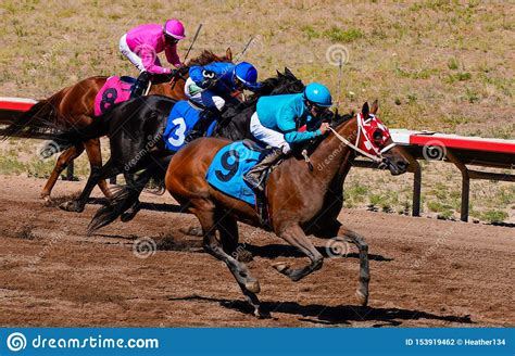 Race Horses And Colorfully Clad Jockeys Heading Toward The Finish Line