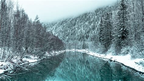 Download Wallpaper 1920x1080 River Forest Snowy Winter