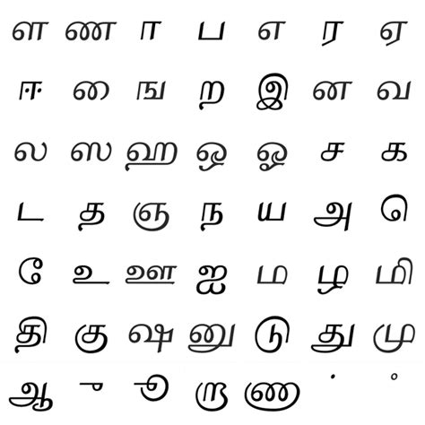 Tamil Letters For Beginners Oppidan Library