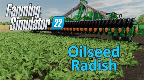 Farming Simulator 22 Tutorial Oilseed Radish Fertilizer Youtube