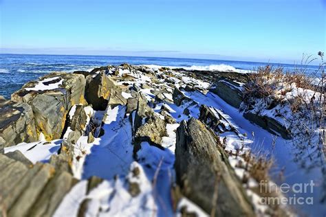 Rocky Winter Maine Coast Photograph By Elizabeth Dow Fine Art America