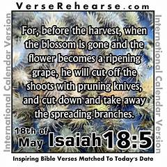 How Long Ago Was 18th Of May 2015