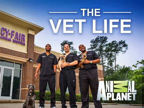 The Vet Life Season 7 Release Date On Animal Planet When Does It Start