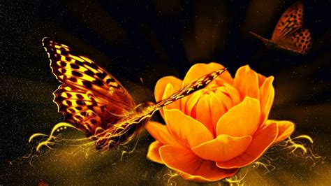 Wallpaper Id 172607 Fantasy Butterfly Orange Dark Flower Black