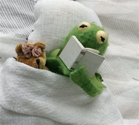 Kermit Reading To His Teddy Bear Kermit Pics Pinterest Kermit