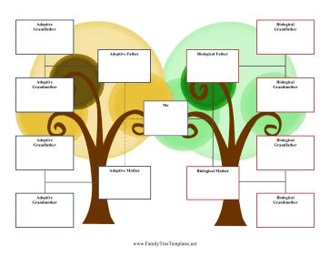 Then add parents, children, partners, siblings and more. 3-Generation Adoption Family Tree Template