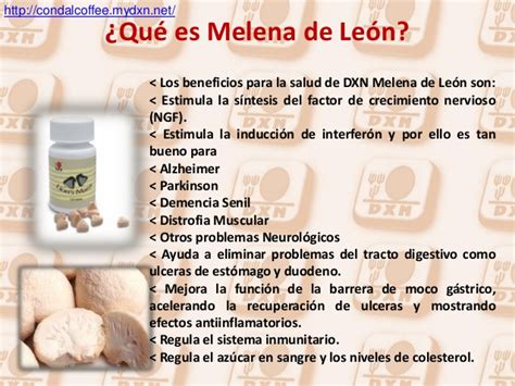 melena de león hericium erinaceus de dxn dxn internacional un mundo un mercado